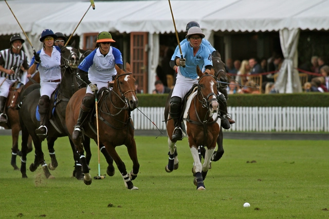 How many people play polo in the world?